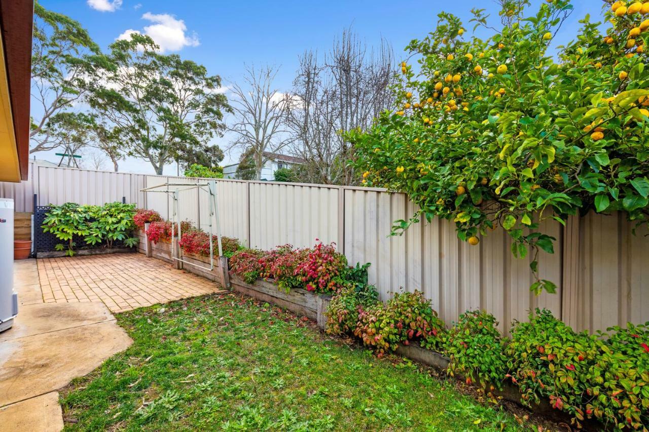Maggie'S Place Mount Gambier Buitenkant foto